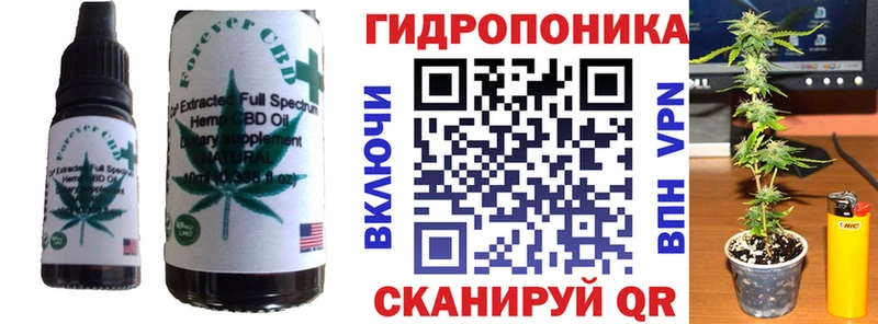 Cannafood конопля  Борисоглебск 