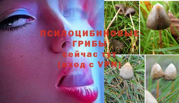 круглые Белокуриха